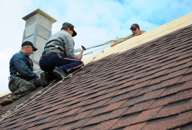 Roof Waterproofing Services in Craig, CO
